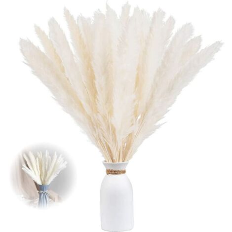 Ahlsen – Lot de 30 herbes de pampa séchées 60 cm – Décoration naturelle pour intérieur – Texture relaxante – Sans odeur et durable