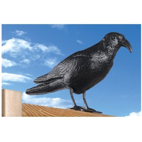 EDM – Corbeau répulsif contre les oiseaux 36x13x18cm – Réplique réaliste – Matériau polypropylène durable – Protection des cultures et jardins
