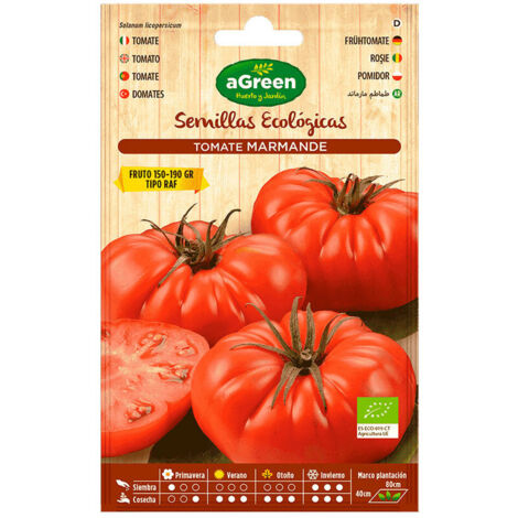 Sachet de graines de tomates Marmande RAF Agreen bio (1/3)