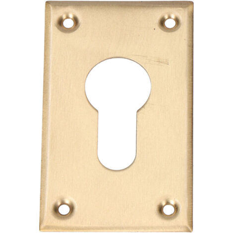 Trou de serrure 40x70mm en laiton sous blister (1/3)