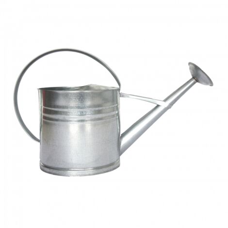 Arrosoir en acier - L 20 x l 62,5 x H 40,3 cm - Argenté - Livraison gratuite