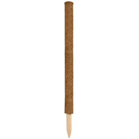 Tuteur en fibres de coco - H 90 cm x diam. 38 mm