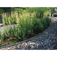 Bordure de jardin flexible en rouleau – Imputrescible et 100% recyclé – H14cm x 10m – Pour aménagements courbes et zones de passage – Ecolat