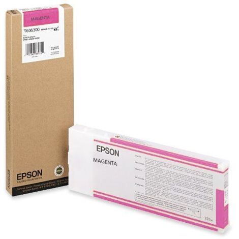Epson GF Stylus Photo 4880 Cartucho Magenta vivo (1/2)