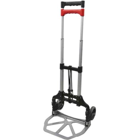 Carrito de transporte reforzado plegable max 60kg (1/3)