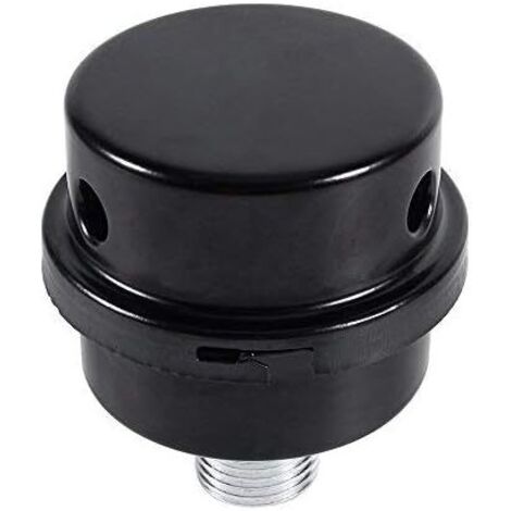 Filtre Silencieux pour Compresseur d'Air (1/2" Filetage 20mm) (1/5)