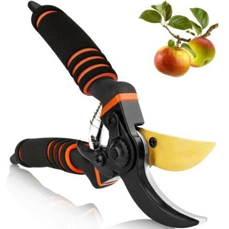 LAN Sécateur de jardin professionnel en titane, ciseaux de jardin, sécateur de jardin, cadeau pour branches, haies et fleurs (1/4)