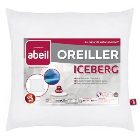 Les Tendances – Lot de 2 coussins moelleux 60x60cm – Housse 100% microfibre polyester – Garnissage 100% polyester – Effet fraîcheur et lavable en machine (1/6)