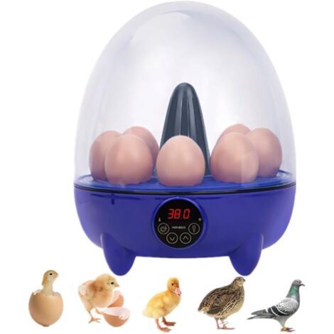 Incubateurs, incubateur de volaille 8 œufs avec contrôle de l'humidité et de la température, mini incubateur automatique pour poussins, cailles, canards, oies, oiseaux et dindes