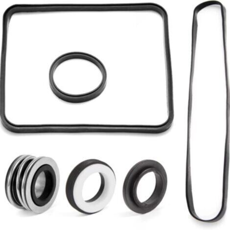 Kit de Joints d'Étanchéité pour Pompe Hayward Super Pump SP2600 – Réparation de Pompe de Piscine