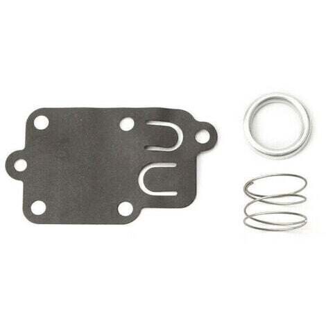 Membrane carburateur Briggs et Stratton (1/4)