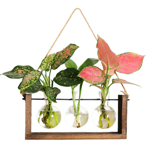 Wall Mounted Hydroponic Vase Green Plant Wooden Frame Vase for Living Room Home Decor