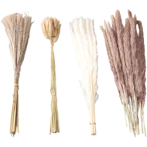 Natural Dried Pampas Grass Fluffy 15PCS White Pampas 15PCS Brown Pampas 50PCS Bunny Tail Grass 20PCS Reed Grass for Home Wedding Decor