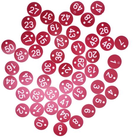50PCS Numbered Label Numbered Tag for Farm Livestock Beekeeping Husbandry Breeding Supplies1-50 Red (1/5)