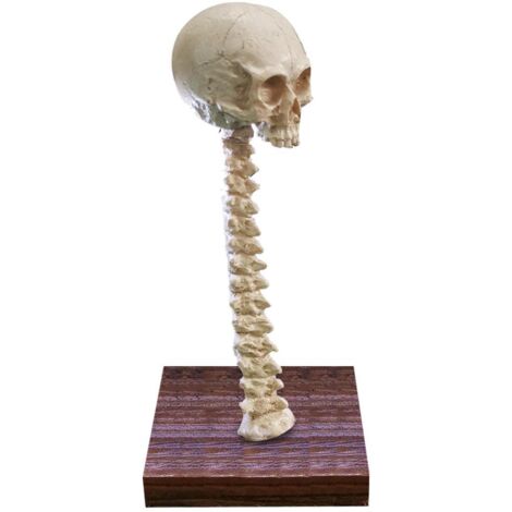 Skeleton Lamp Halloween 3D LED Skeleton Lamp Haunted House Ornament Prop Gifts for Birthday (1/5)