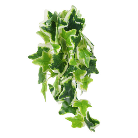 Artificial Reptile Plants Lifelike Plastic Plant Hanging Leaves Decoration with Suction Cup for Reptiles Terrarium Fish TankStar Leaf Vine (1/5)