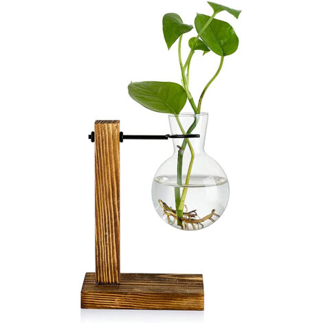Transparent Vase Desktop Wooden Stand Glass Clear Plant Vase for Home Table Desk Interior Decoration (1/5)