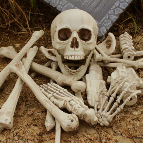 28Pcs Halloween Skeleton Bones Halloween Props Skeleton Tricky Bones Haunted House Party Decorations (1/5)