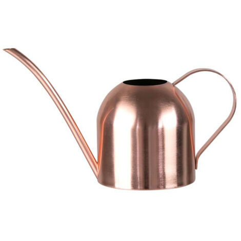 Stainless Steel Watering Can Plant Watering Pot with Long Spout Watering Can Gardening Tools 450ml (1/5)