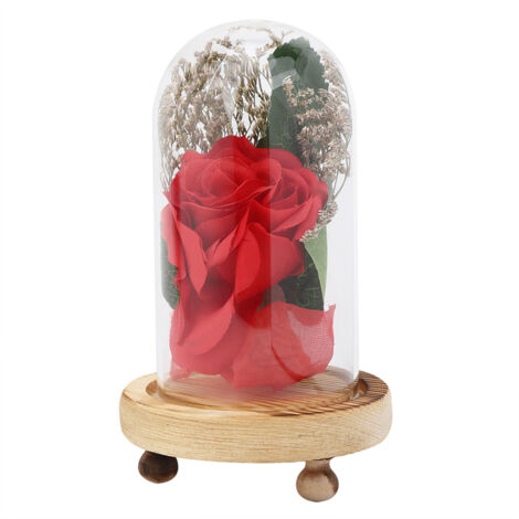 Glass Cover Artificial Rose Flower Decoration Ornament for Valentine's Day Gift Home Decor (1/5)