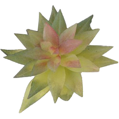 Artificial Succulent Plant Soft PVC High Simulation Mini Fake Plant for Home Office Desk Decoration Type 2 (1/5)
