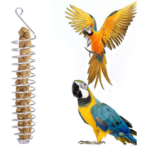 Stainless Steel Spiral Birds Feeder Treat Fruit Holder for Parrot Bird Feeder (1/5)