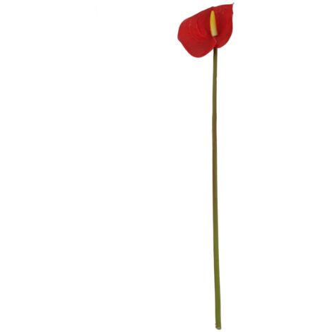 Simulation 3D Anthurium Flower Living Room Home Layout Simulation Flower Bouquet Flamingo Anthurium (1/5)