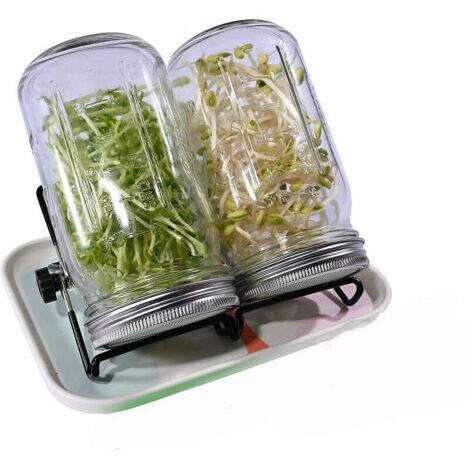 32 oz germoir pour graines à germer avec couvercles en Acier Inoxydable,Plateau, Support et Distributeur de graines (1/5)