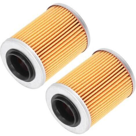 DEESSE SHOP-Lot de 2 filtres à huile moteur 0800-011300 Remplacement d'accessoires ATV pour CF Moto CForce UForce ZForce (1/5)