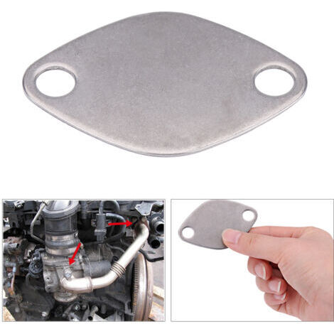 DEESSE SHOP-Kit de plaque de bloc d'obturation de vanne EGR pour RENAULT ESPACE LAGUNA MASTER TRAFIC VAUXHALL MOVANO (1/5)