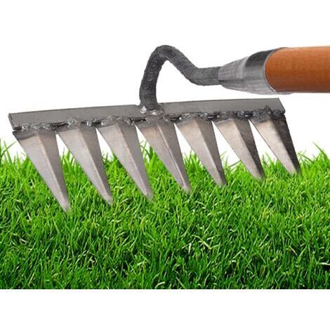 DEESSE SHOP-Râteau à désherber 7 dents en acier au carbone – Pour désherbage et ameublissement du sol – Dents pointues pour efficacité accrue (1/3)