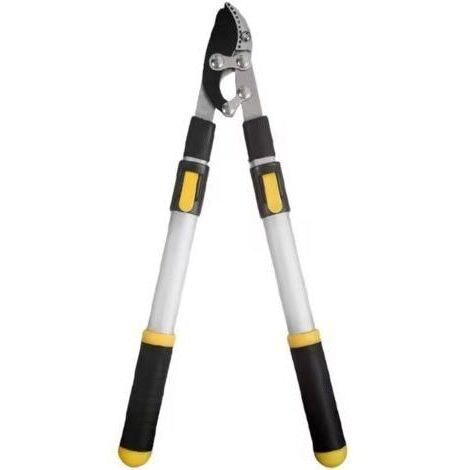 Longue Branche Élagage Cisaillement Jardinage Arbre Fruitier en Acier Ciseaux de Jardin Extensible (1/5)