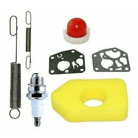 Kit d'entretien pour tondeuse  gazon 698369 Filtre  air adapt aux moteurs Briggs Stratton Classic et Sprint (1/5)