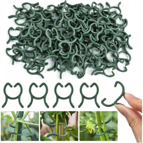 100 Pièces Clips pour Plantes Vert, Clip Plante Grimpante 2 x 2.6cm, Clip de Support pour Plante, Plant Climbing Clips, Clip Piante de Jardin pour Soutenir Plantes Légumes Fruits (Petit) (1/5)