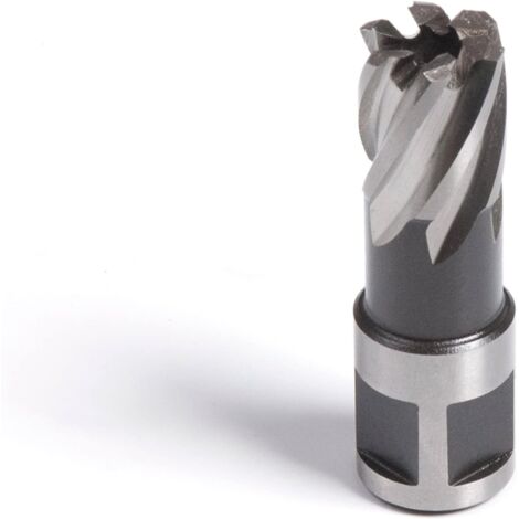 12 x 25 mm Core Drill Bit Evolution - Cuts Faster and Has a Longer Service Life - Compatible with Almost All Magnetic Drills (1/5)