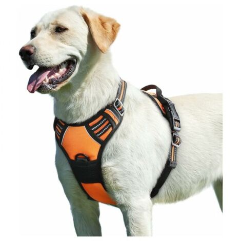 Cyslmuk – Harnais pour chien moyen et grand – Anti traction réglable – Matériau nylon durable – Maille respirante – Poignée de contrôle réfléchissante