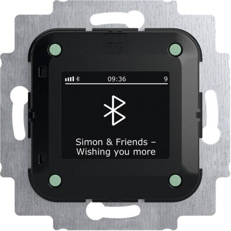 Busch-Jaeger – Radio de chantier DAB+ Bluetooth 2CKA008200A0278 – 2 sorties haut-parleurs – Mode mono/stéréo – Affichage graphique IPS - Y453262 (1/2)