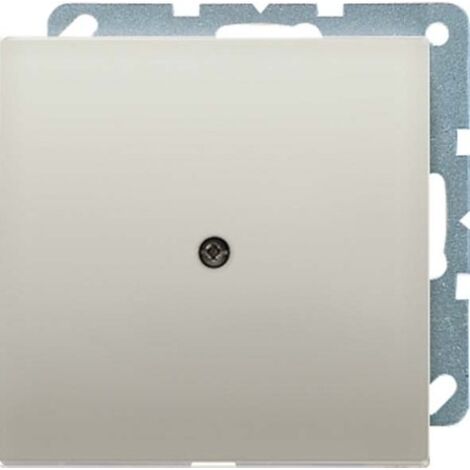 JUNG ES 2990 A plaque finition acier inoxydable