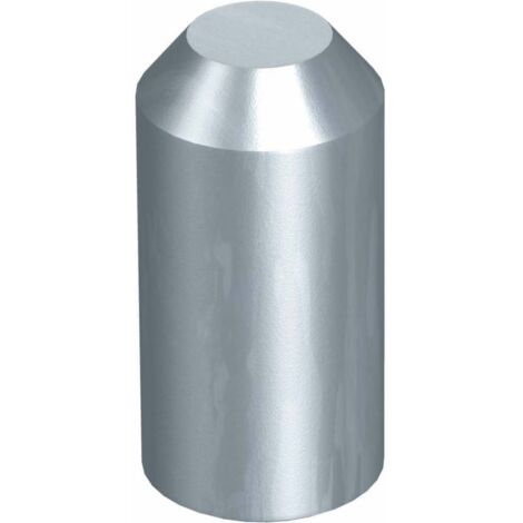 OBO Bettermann Tête de frappe pour prise de terre OMEX 20mm Acier, 3042200 (1/2)