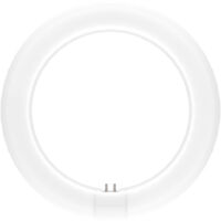 Ledvance Tube LED T9 Value Circulaire (EM/Direct 230V) 11W 1320lm