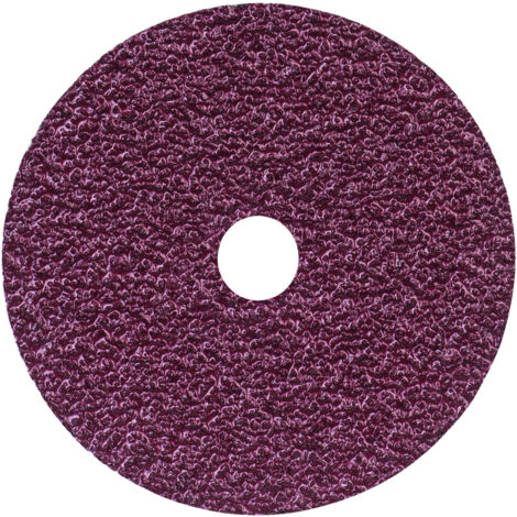 Bosch 2608606916 Disco de lija de fibra R444 Expert for Metal Dm 100mm G24 50 uds (1/5)