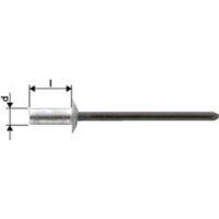 GESIPA Remache ciego sellado CAP Vástago de remache dxl 4,8 x 11 mm - 1433428