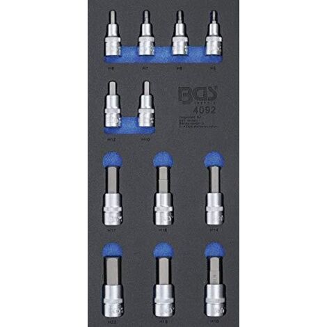 Modulo per carrelli portautensili 1/3: set di bussole esagono interno 12 pz. (1/3)