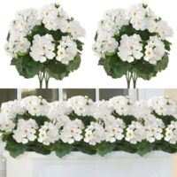 NICOLA 10 géraniums et bégonias artificiels, fleurs artificielles pour décoration, fleurs décoratives artificielles, blancs, 35 cm