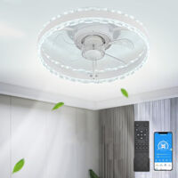 Ceiling Fans with Lights, Flush Mount Low Profile Ceiling Fan with app and Remote, 6 Wind Speeds, 40cm