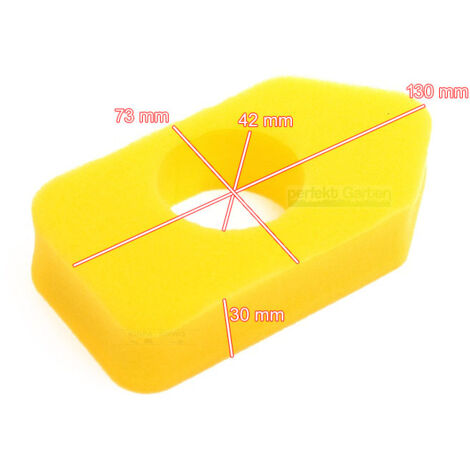 filtre à air en mousse pour Briggs and Stratton 698369 Classic Sprint Quattro (1/2)
