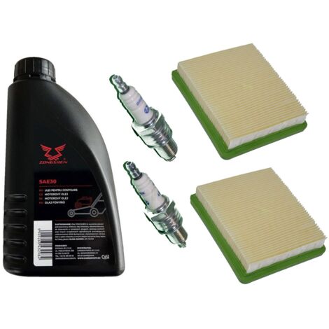 2 X bougie d’allumage + 2 X filtre + huile SAE30 pour Hyundai HYM 510 SP PE SPEZ SPER SPER-NA (1/4)