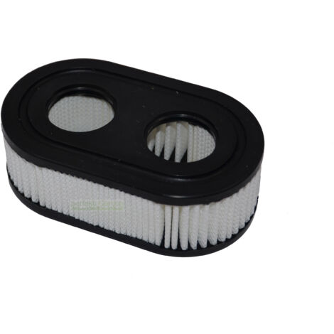 filtre à air pour moteur Briggs & Stratton B&S 550E 550EX 575EX 575593260 798339 798452 (1/4)