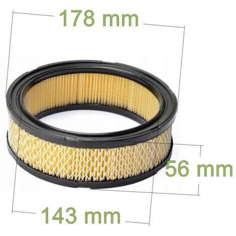 filtre à air pour Briggs & Stratton Toro John Deere Vanguard 394018 394018S (1/3)