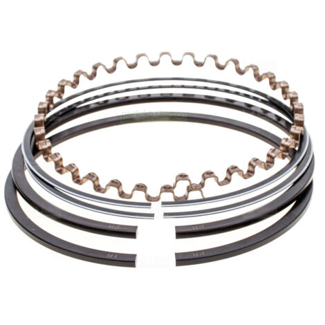 segments de piston pour Briggs & Stratton 7-8 HP modèles 170000, 171000, 190000-196000 (1/2)